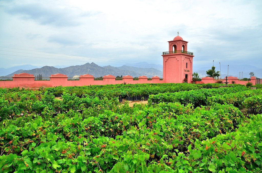 Hacienda Viña Tacama