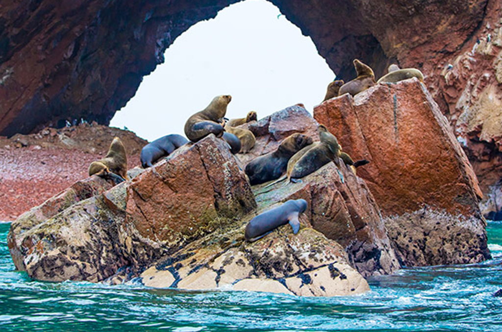 Islas Ballestas